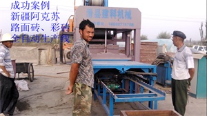 新疆库车砖厂5-20型生产线
